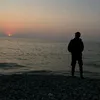 lionze_