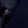 userqjih37a7x5
