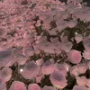 iamneochi___