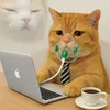 meow868686