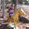 user51471551