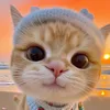 huong_281296