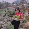 hoangthieu.123