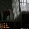 maybeursecretadmire