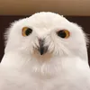 ふくろうの里 Owl Village