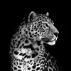 recho.me