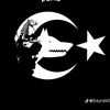 ismailgul4316