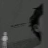 zamcito_th95