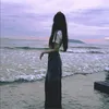 vanh_311097