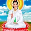 thanhphongpham08