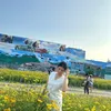 hankhangan