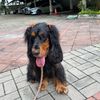 suvitha308