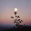 thanhha9700