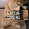 kehuydiet_ga