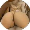 fyb1115