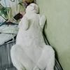 itsamatteroffactphantha0