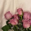 xlyzr_21