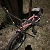 noahpike690