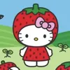 momo.minn