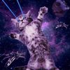 spacecatawesomeness