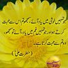 sameeransari786g