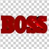 ricardoboss113