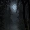 saahar_s7