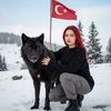 Işıl