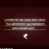 seninem___85