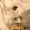 phoeb3_xx