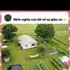 thangthainguyen222