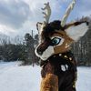 raitos_the_deer