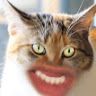 meowon