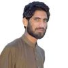 ameerhassan263