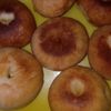 manusiyabias4