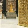 raniaroshdy708