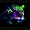 rym.2611