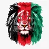 syedejavid3