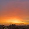 rotemcohen_333