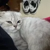 thaotjao_