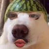 _bruh1531