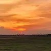 vuthanh579