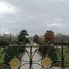 lauurus._22