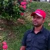 mamoon.ketu