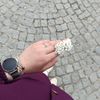_rumeysa_4_4_