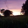 kari.notdrama