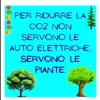 tartaruga07e