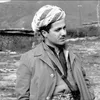 safwan.bradosti