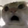 kmuihub