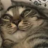 cpthook__